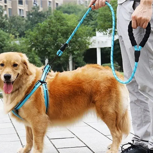 Reflective Dog Walking Leash