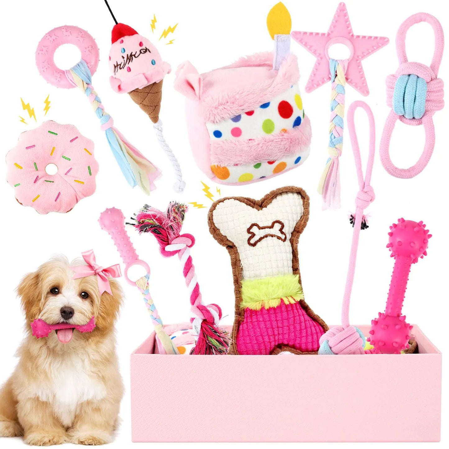 Female Dog Birthday Party Supplies