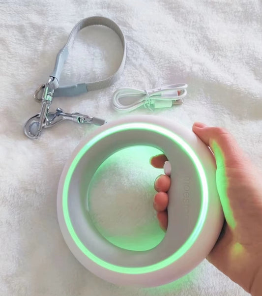 Retractable Circular Illuminated Leash