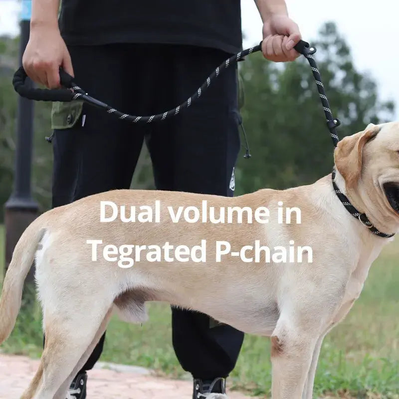 Reflective Dog Walking Leash