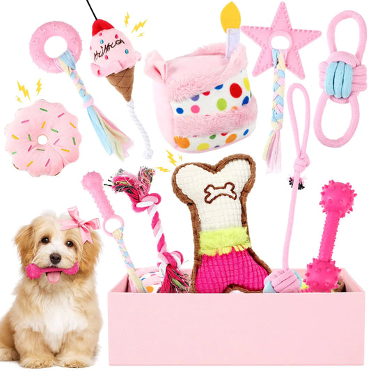 Female Dog Birthday Party Supplies