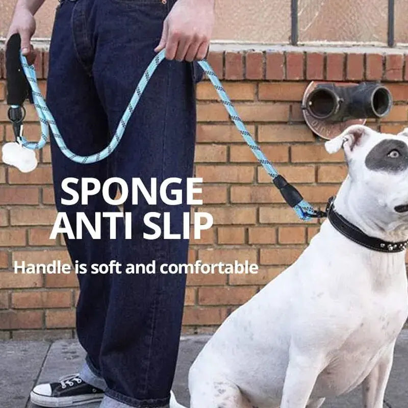 Reflective Dog Walking Leash