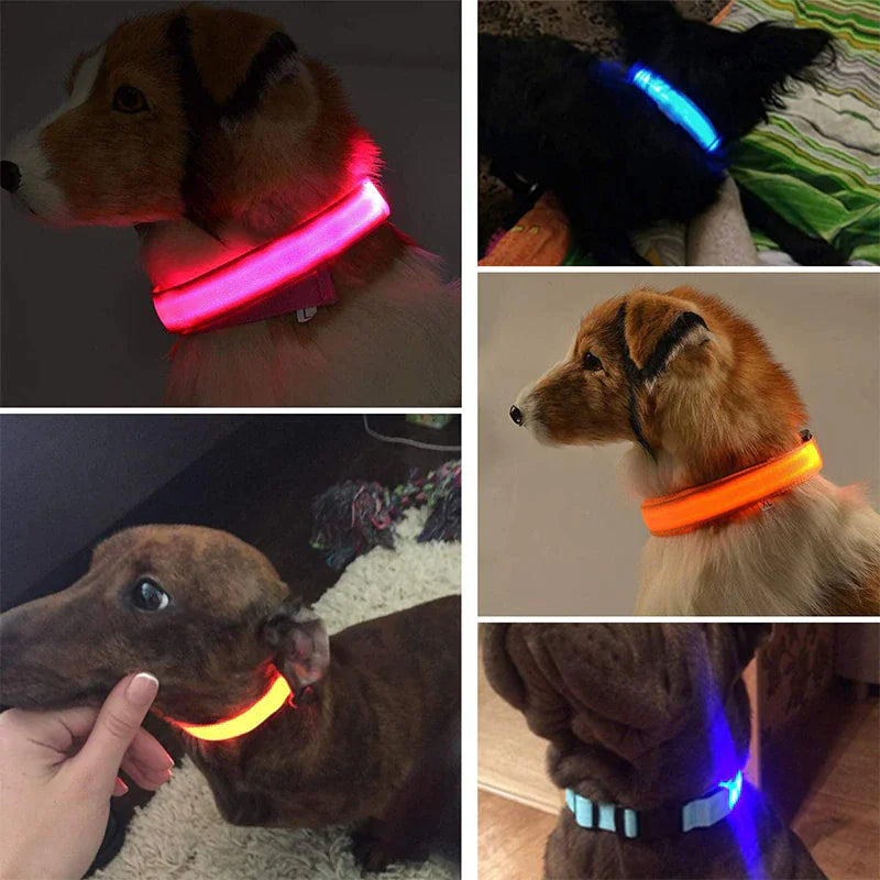 LED Adjustable Flashing Dog Collar