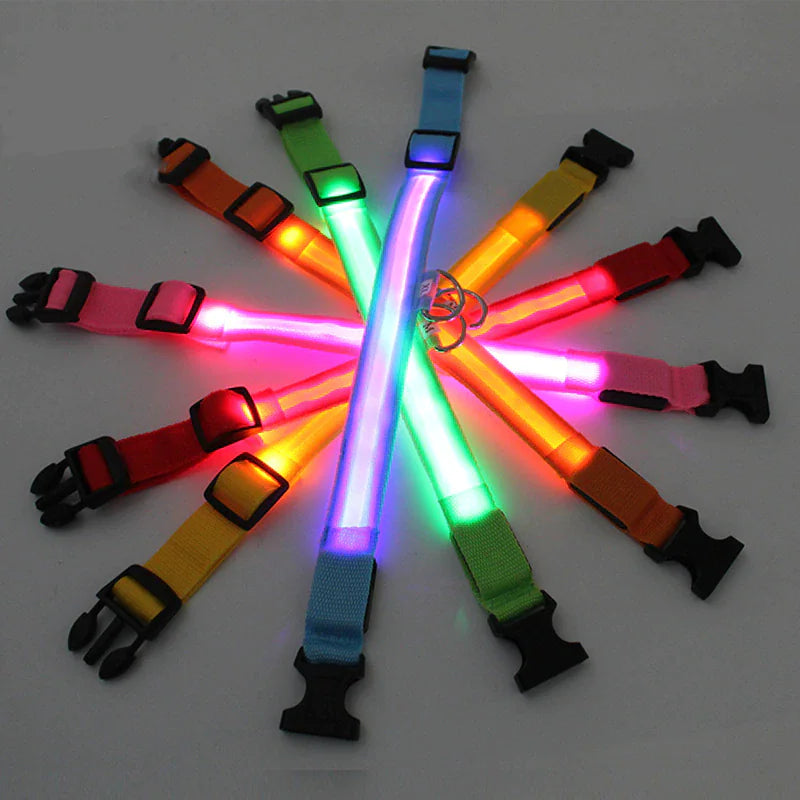 LED Adjustable Flashing Dog Collar