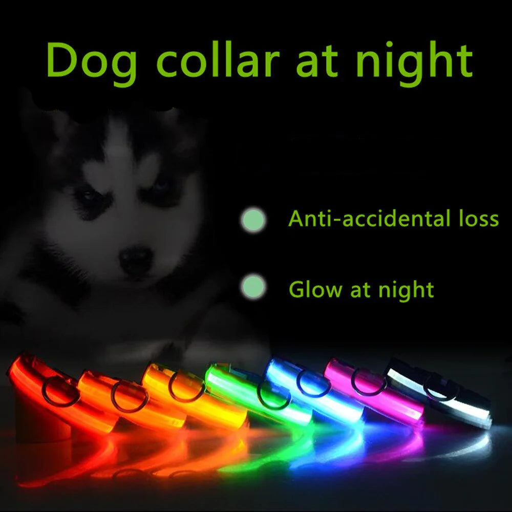 LED Adjustable Flashing Dog Collar