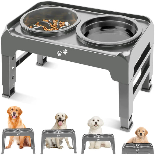 Elevated 2-in-1 Feeder Dog Bowls