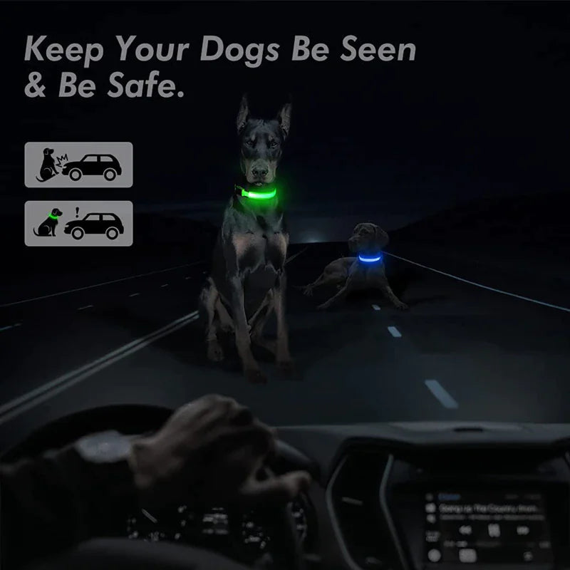 LED Adjustable Flashing Dog Collar