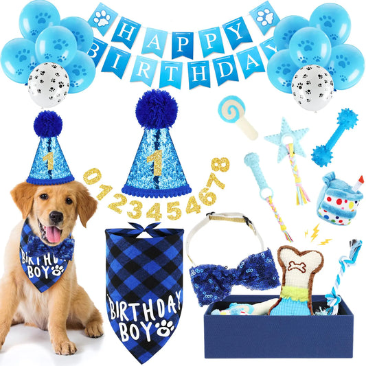 Male Dog Birthday Party Supplies