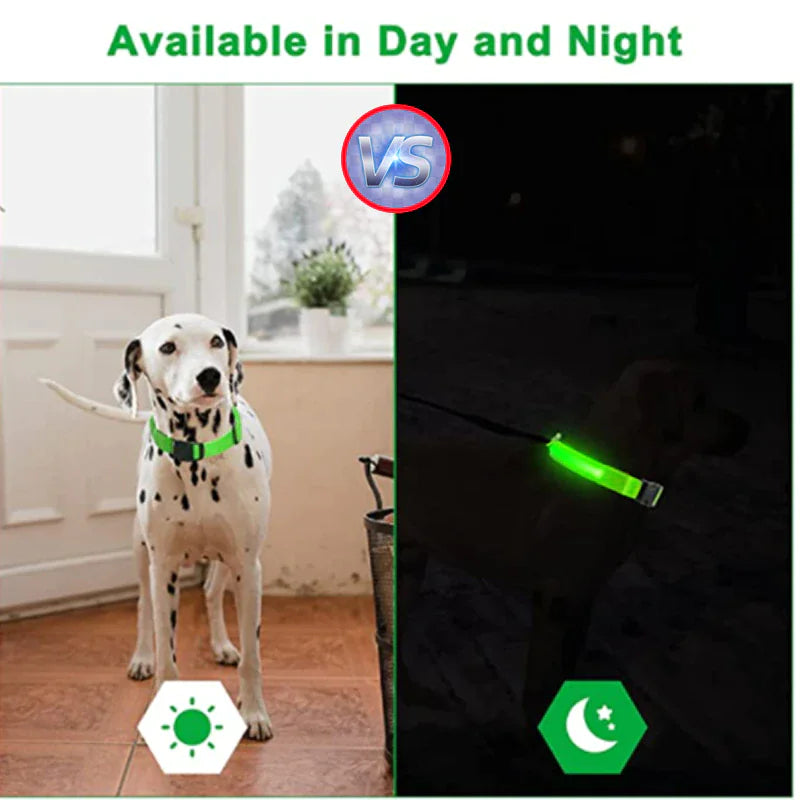 LED Adjustable Flashing Dog Collar