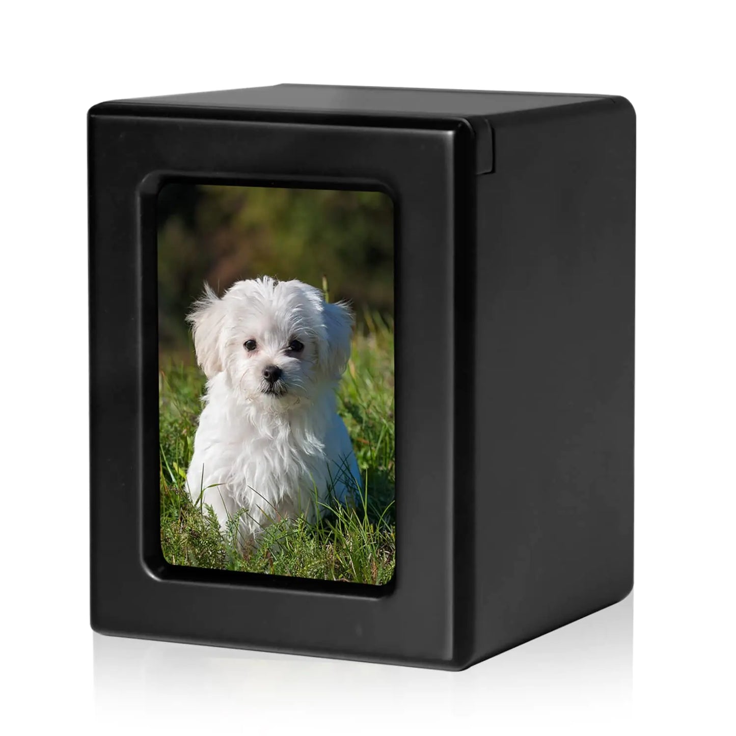 Pet Urn for Dog's Ashes