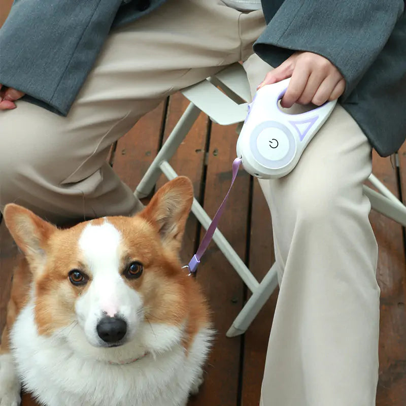 Retractable Dog Leash with Flashlight