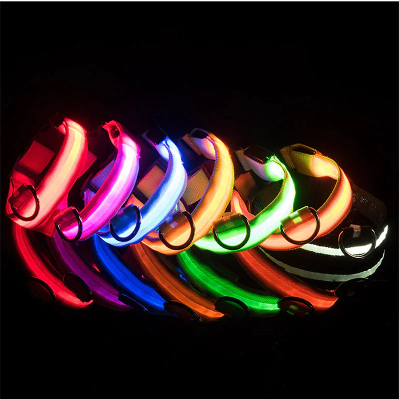 LED Adjustable Flashing Dog Collar