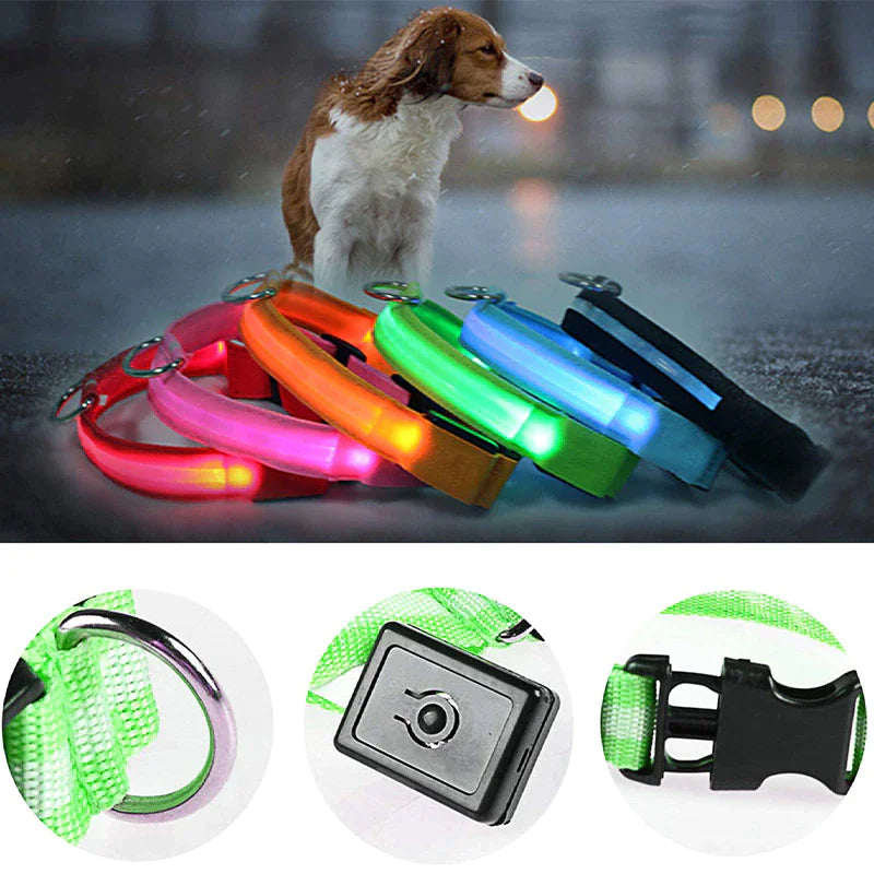 LED Adjustable Flashing Dog Collar