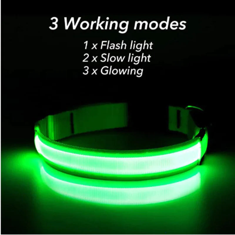 LED Adjustable Flashing Dog Collar