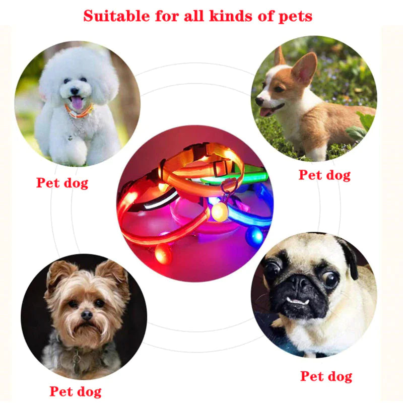 LED Adjustable Flashing Dog Collar