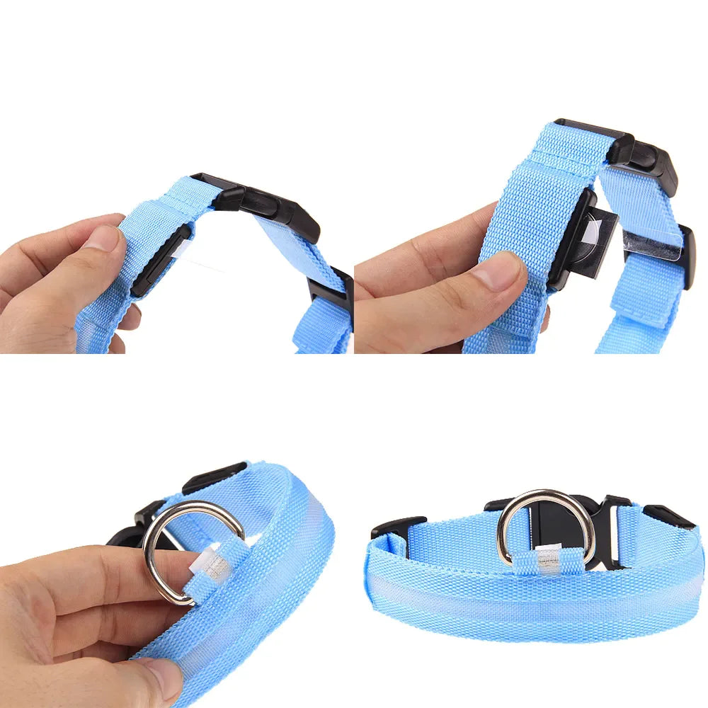 LED Adjustable Flashing Dog Collar
