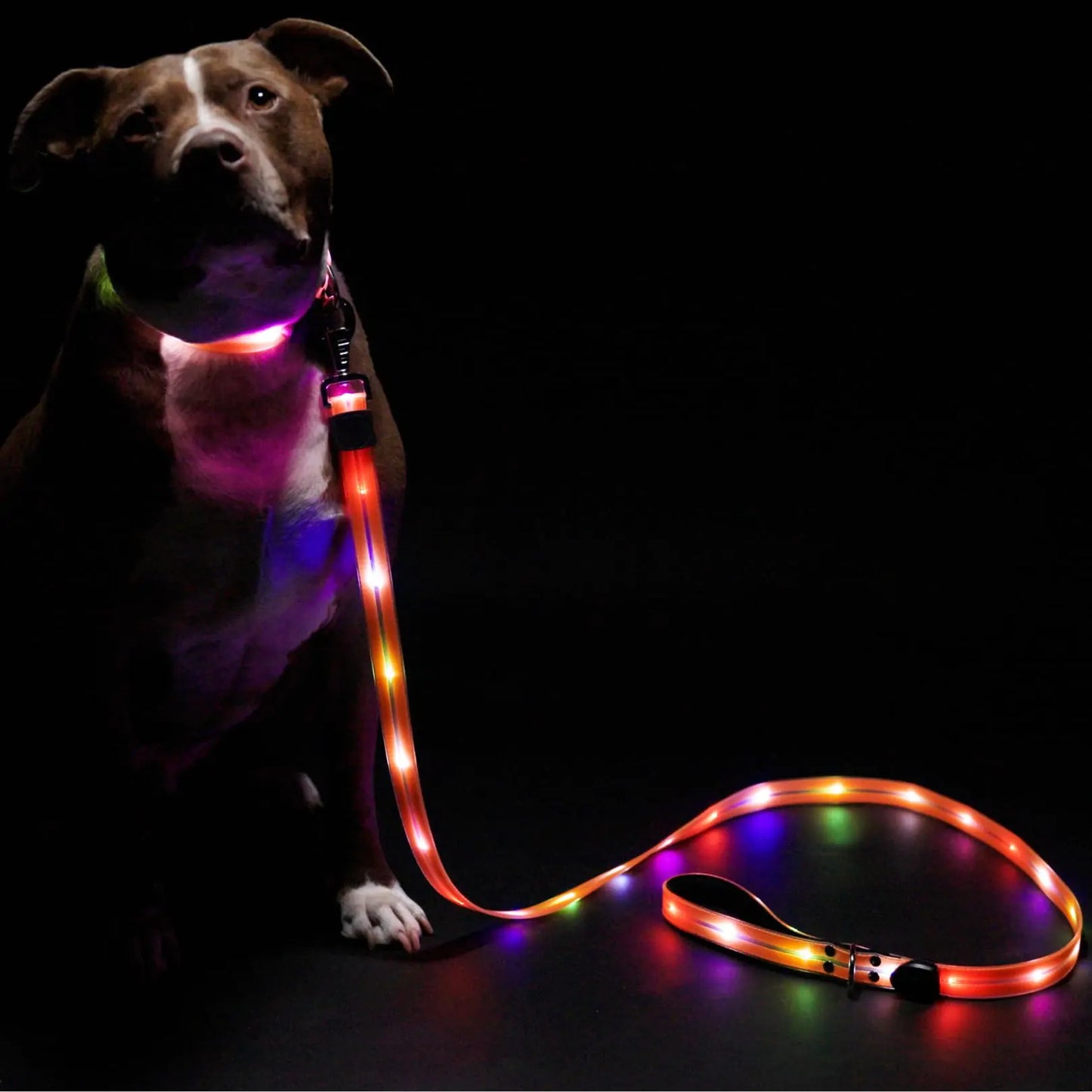 High Visibility 6ft Light Up Dog Leash