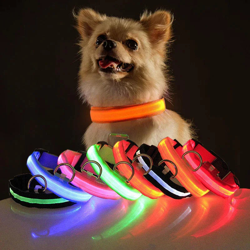 LED Adjustable Flashing Dog Collar