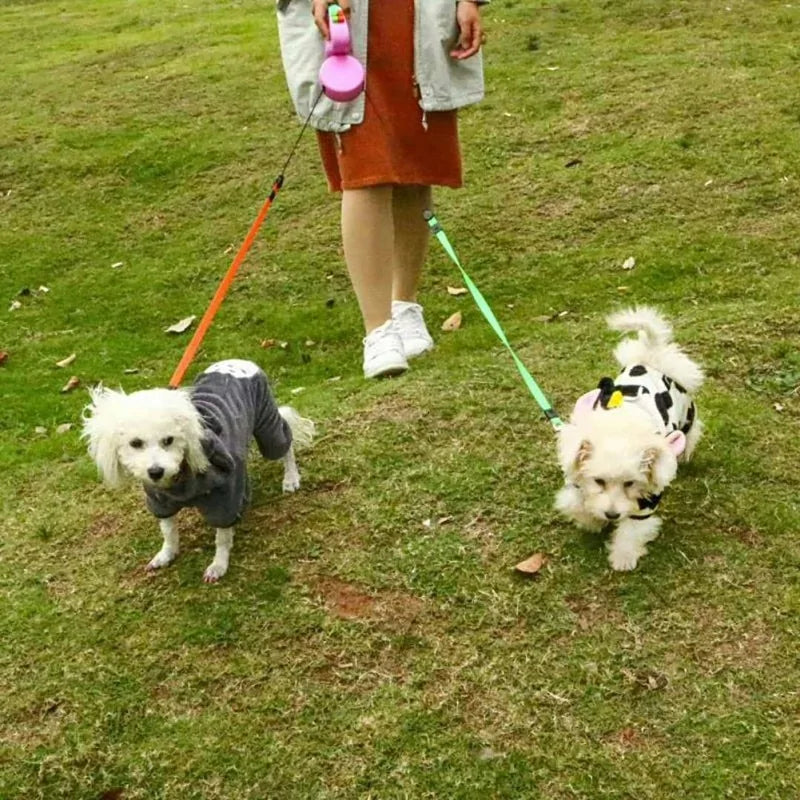2 In 1 Dog Leash